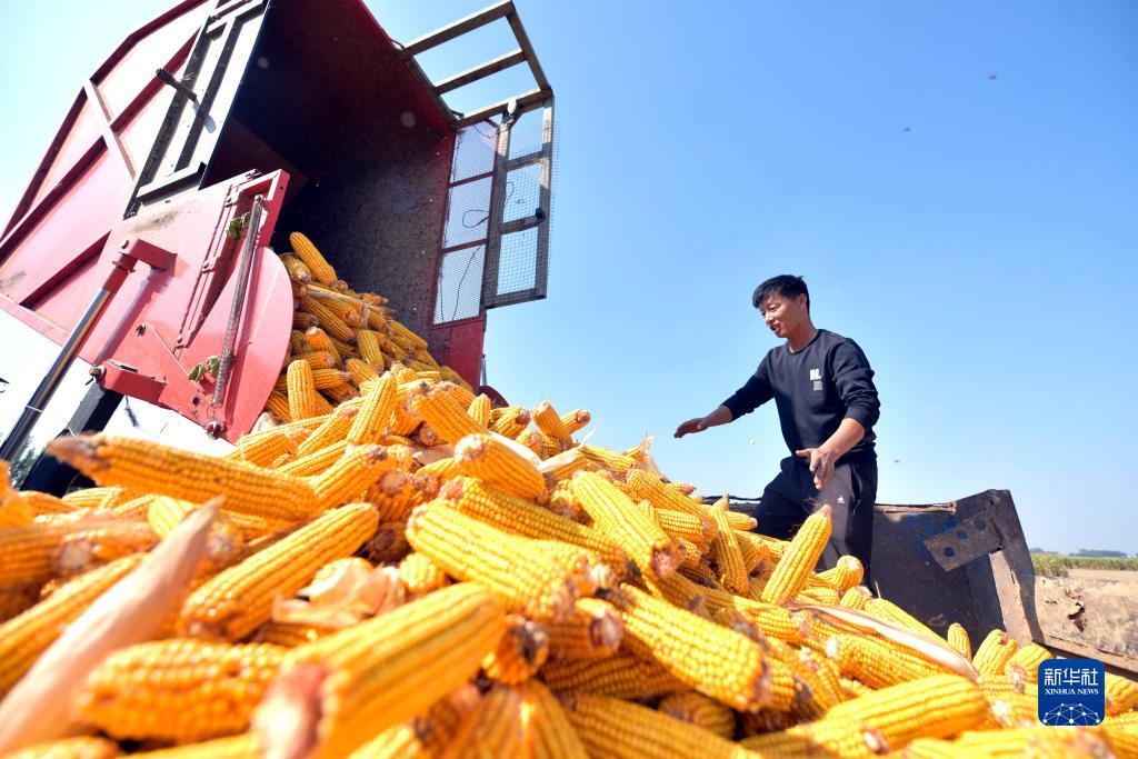 万濠会为什么不能注册试玩了